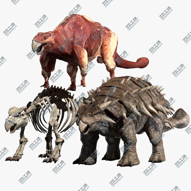 images/goods_img/20210319/Ankylosaurus Anatomy 3D model/1.jpg